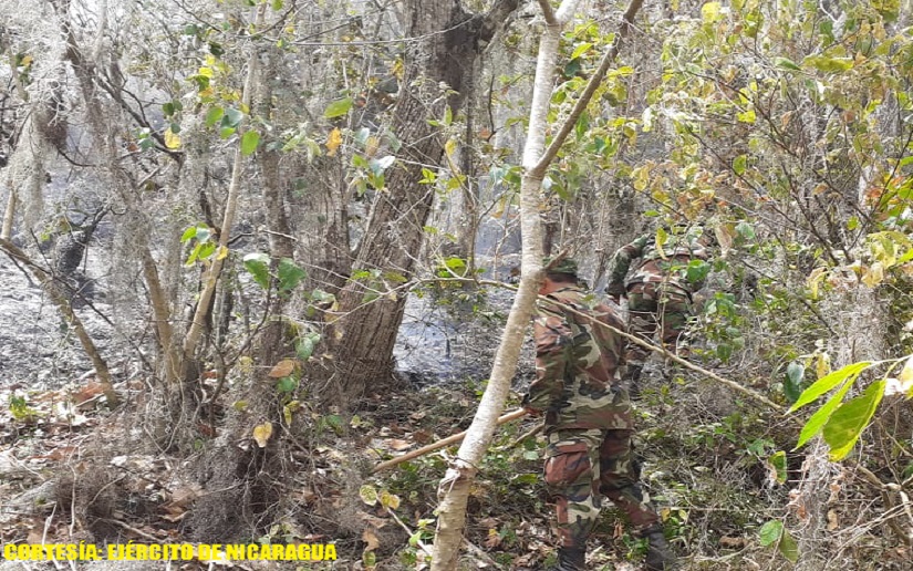 Ejército de Nicaragua participa en sofocación de incendio forestal en Jinotega