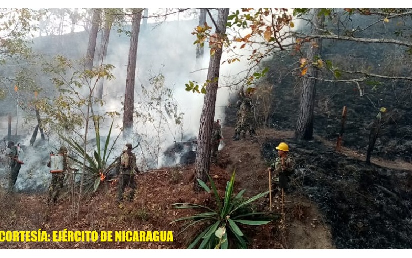 Ejército de Nicaragua: Combaten incendio forestal en Dipilto, Nueva Segovia 