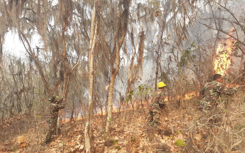 Ejército de Nicaragua participa en sofocación de incendio forestal en Estelí