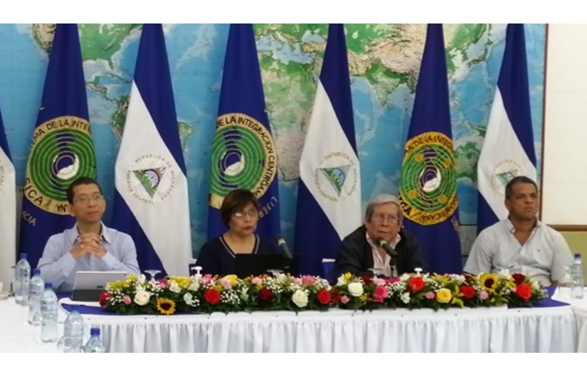 Nicaragua participa en conversatorio entre lo entes rectores de la Gestión y Reducción del riesgo ante el Covid-19