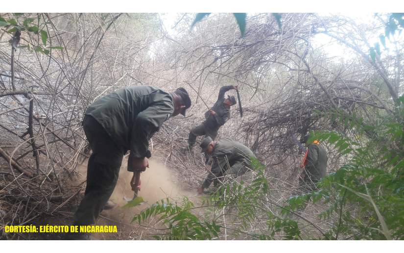 Ejército de Nicaragua sofoca incendio agropecuario en Managua