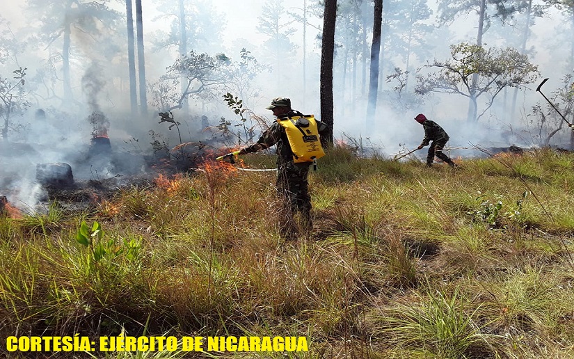 Incendio forestal en el Caribe Norte fue sofocado con apoyo del Ejército de Nicaragua