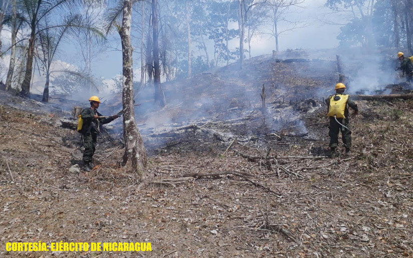 Batallón Ecológico Bosawás participa en sofocación de incendio agropecuario en Siuna