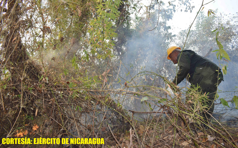 Ejército de Nicaragua sofoca incendio forestal en Siuna