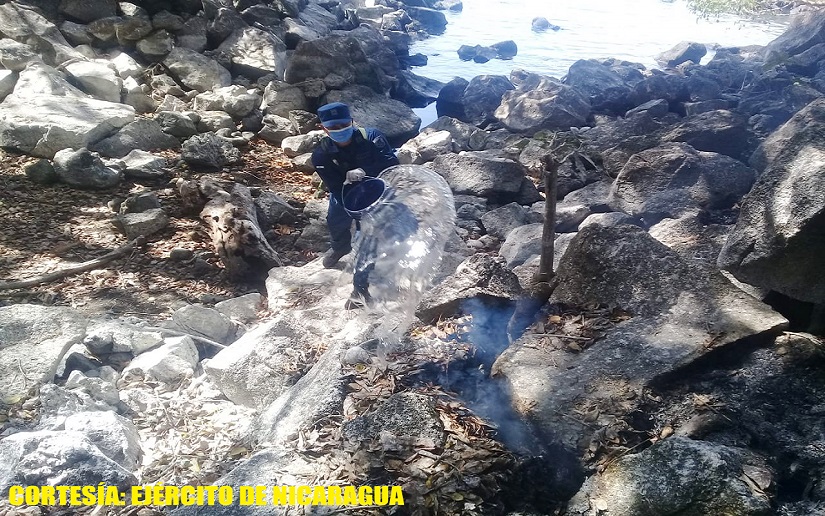 Fuerza Naval participó en sofocación de incendio forestal en El Islote, Altagracia, Isla de Ometepe