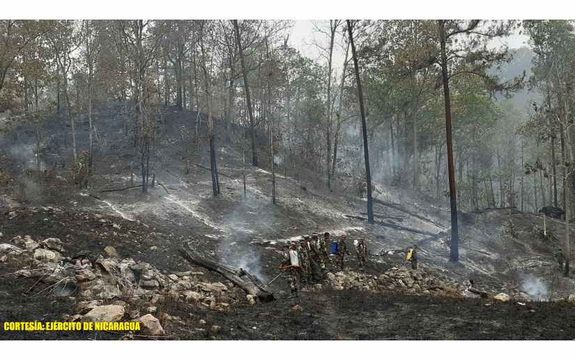 Ejército de Nicaragua apoya sofocación de incendio forestal en Condega