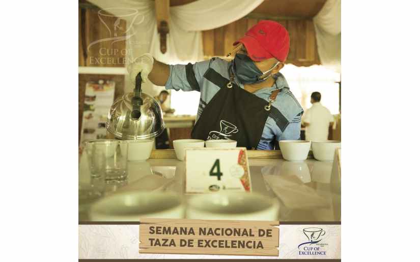 Clausuran semana nacional del certamen Taza de Excelencia Nicaragua 2020