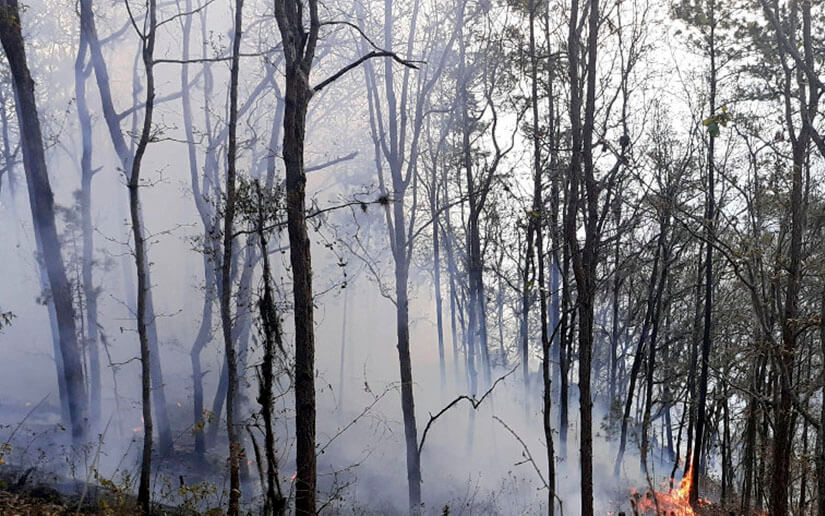 Bomberos extinguen incendio de maleza en la carretera El Crucero-Managua