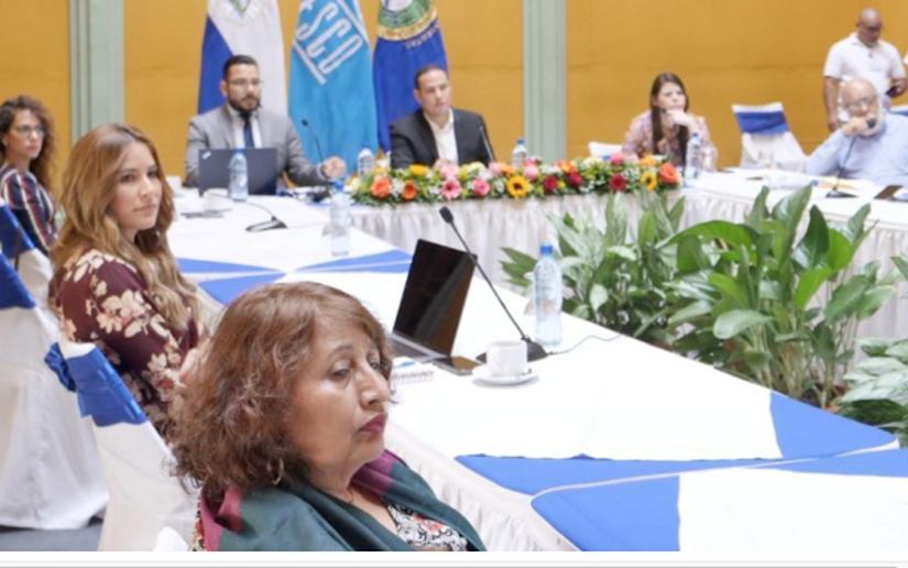 Nicaragua en taller virtual de capacitación para el Fondo Internacional para la Diversidad Cultural