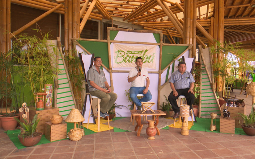 Invitan a la Feria Nacional del Bambú “Innovando, Transformando y Construyendo”