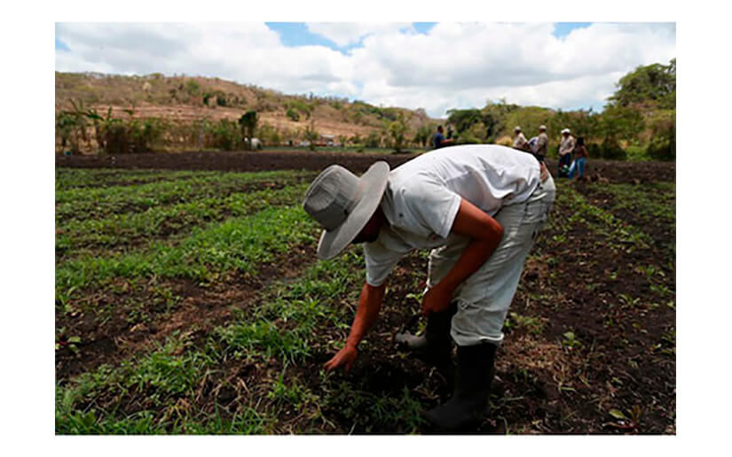 Nicaragua se prepara para brindar un mayor impulso a la actividad agrícola