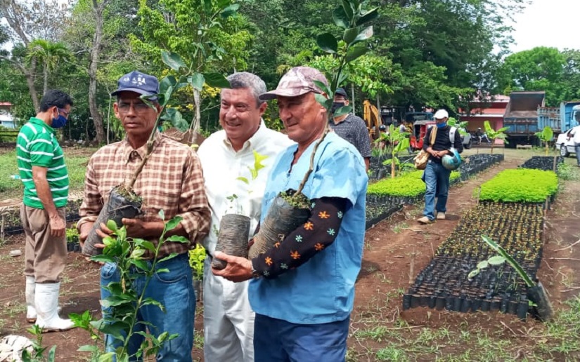 Entregan plantas frutales a productores de Santa Teresa en Carazo