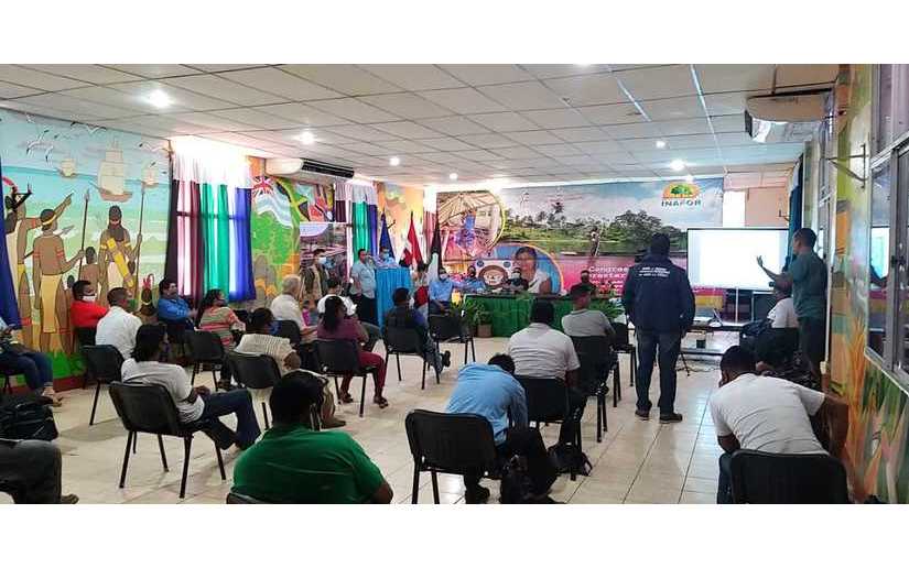 Desarrollan congreso nacional forestal en Bilwi