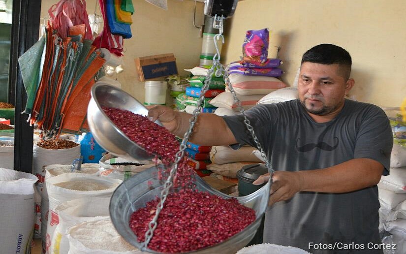 Frijol rojo bajó su precio en los mercados de Managua