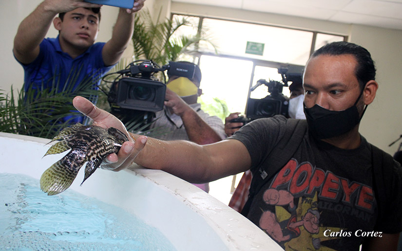 Jóvenes fortalecen conocimientos en la elaboración de alimentos para la crianza de peces en estanques