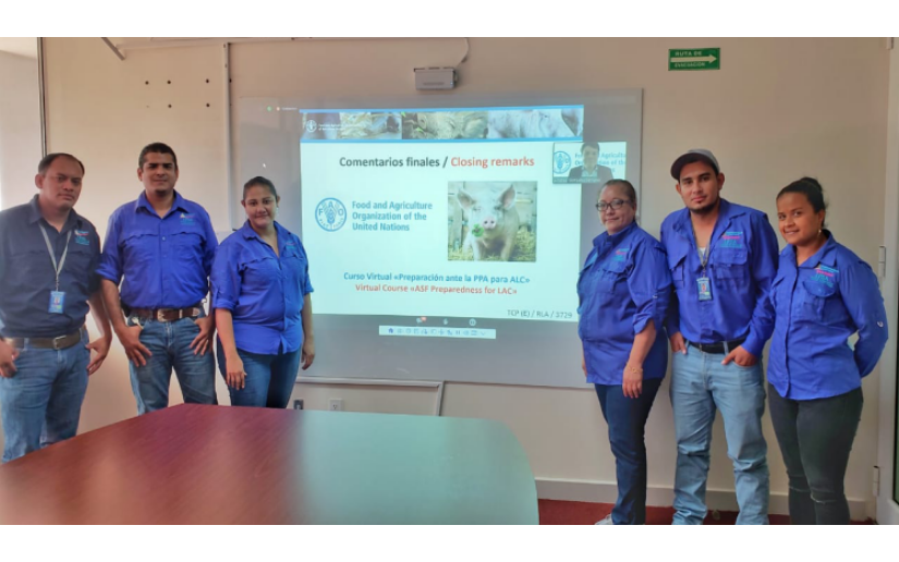 Nicaragua en inauguración de curso virtual Preparación ante peste porcina africana para América Latina y El Caribe