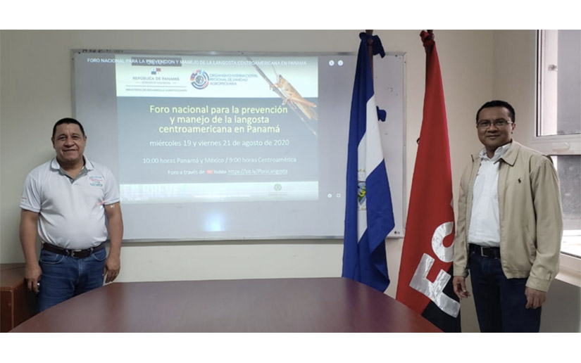 IPSA participa en el foro nacional sobre el manejo de la langosta Centroamericana
