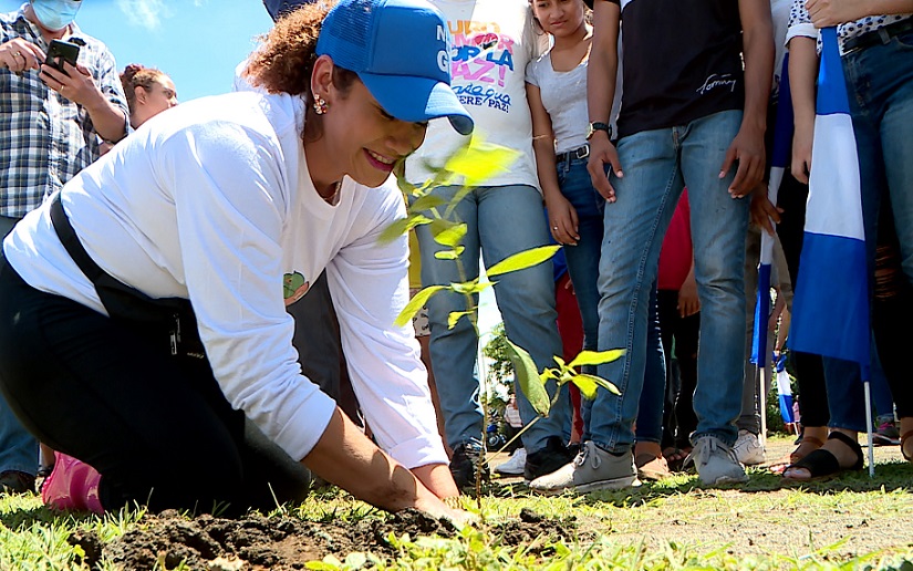 Lanzan campaña “Madroño Orgullo de mi País, con Patria en el Corazón”