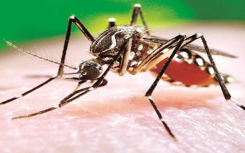 Este es el reporte semanal de epidemiología en Nicaragua