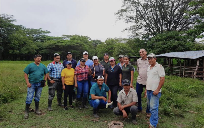 Nicaragua fortalece conocimientos en Ultrasonografía Reproductiva de Bovinos