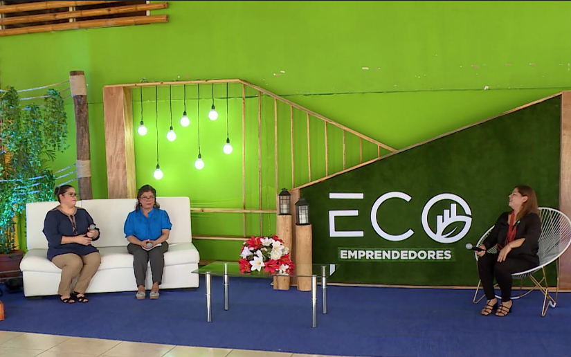 Marena y Mefcca lanzan concurso emprendedores para el buen manejo amigable ambiental