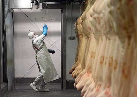 Tribunal holandés mantiene la retirada de 50.000 toneladas de carne