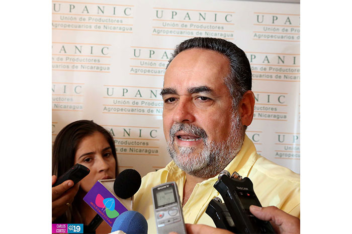 Zafra azucarera va por buen camino, afirma directivo del sector