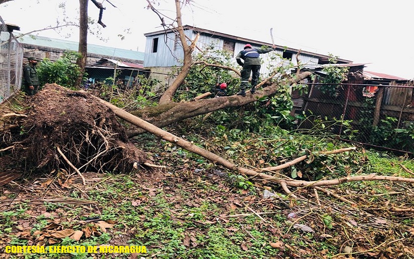 Ejército realiza evacuación de personas, despliegue de almacén portátil de alimentos y remoción de árboles caídos