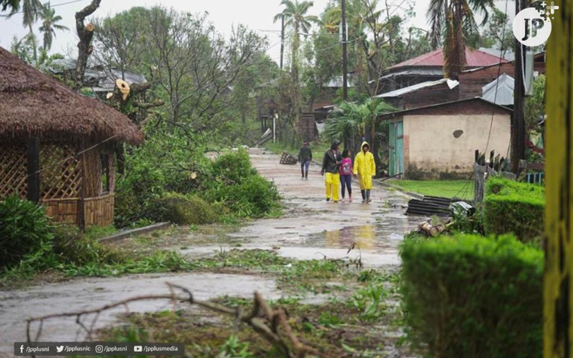 Firmarán resolución para el aprovechamiento familiar de los árboles afectados por los huracanes
