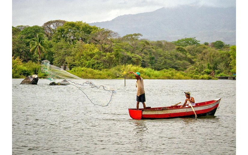 Temporada de pesca para el recurso de pepino de mar en Nicaragua