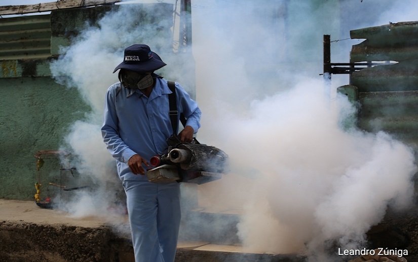 Fumigan más de 800 viviendas del barrio Grenada de Managua