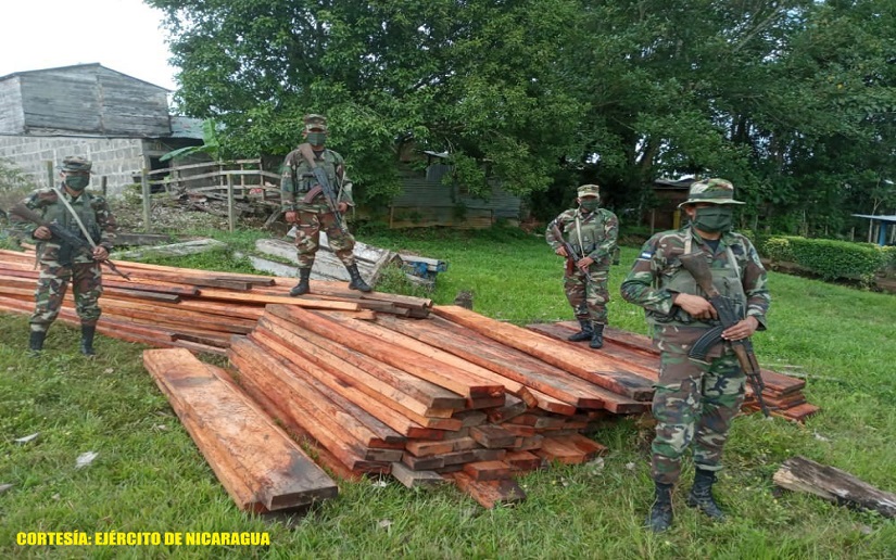 Ejército de Nicaragua realizó ocupación de madera en el Caribe Sur
