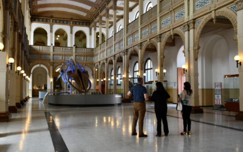 Museo Nacional de Historia Natural de Chile recibe a diplomáticas nicaragüenses