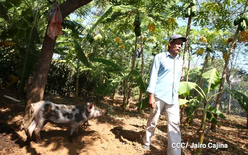 Primeros vacunados contra el Covid en Nicaragua cuentan su experiencia