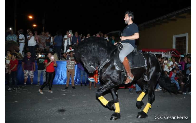 Algarabía en Granada: exhibición de caballos de pura raza española, desfile hípico y danzas folclóricas