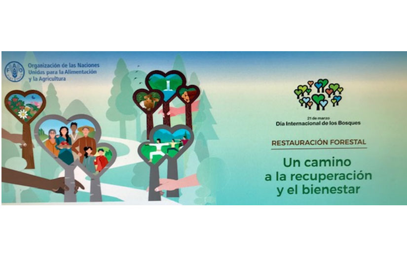 Nicaragua en ceremonia oficial en el Día Internacional de los Bosques 2021