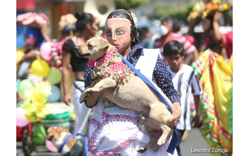 Masaya celebra la tradicional fiesta de San Lázaro con el desfile de mascotas