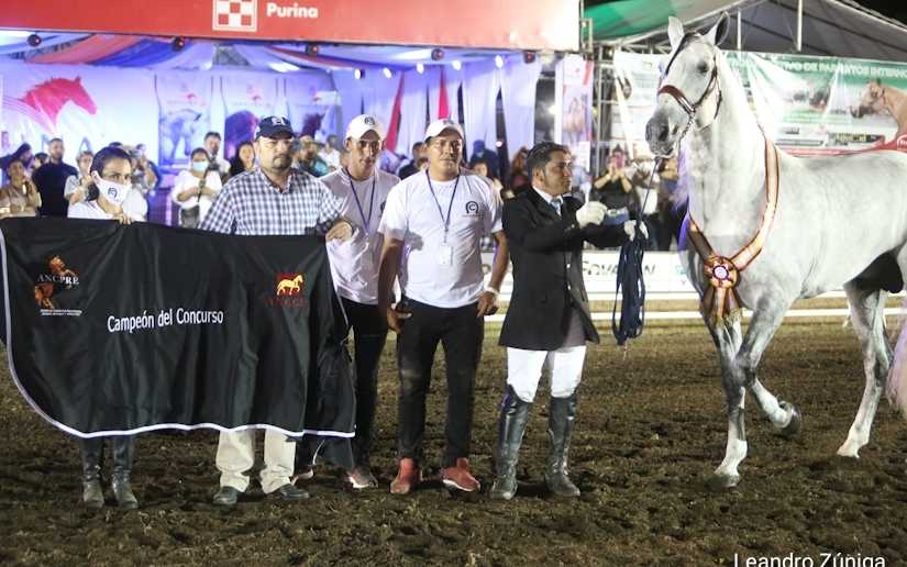 Concluye con éxito décima tercera feria del caballo español en Nicaragua