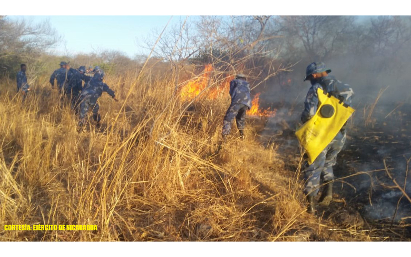 Fuerza Naval apoya sofocación de incendio forestal en Nagarote