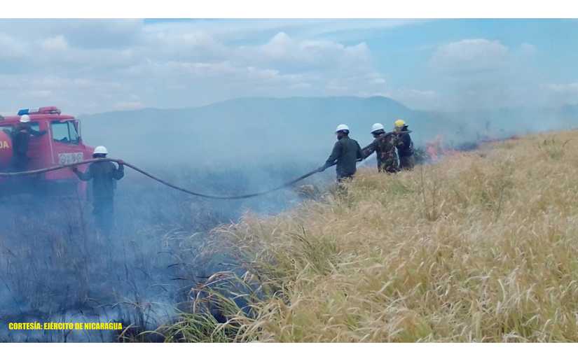 Sofocación de incendio forestal en Mateare