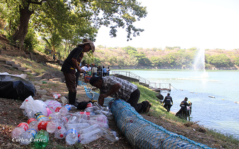 Alcaldía de Managua y otras instituciones llevan a cabo limpieza en la laguna de Tiscapa   