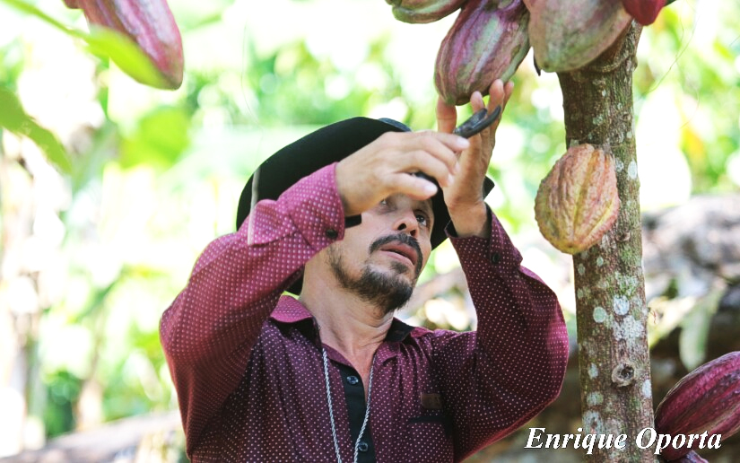 Nicaragua: Producción Nacional de Cacao 2020-2021