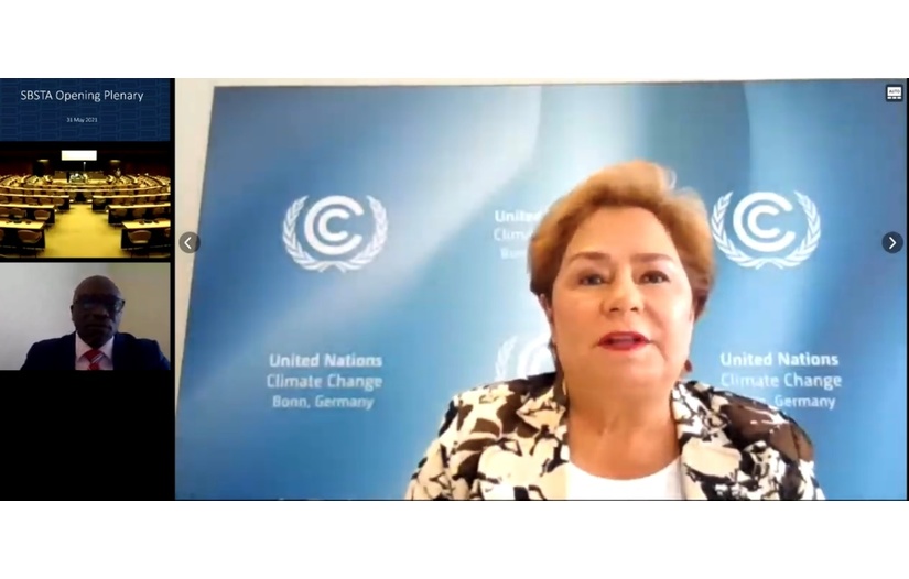 Nicaragua en las negociaciones de la ONU sobre el Cambio Climático
