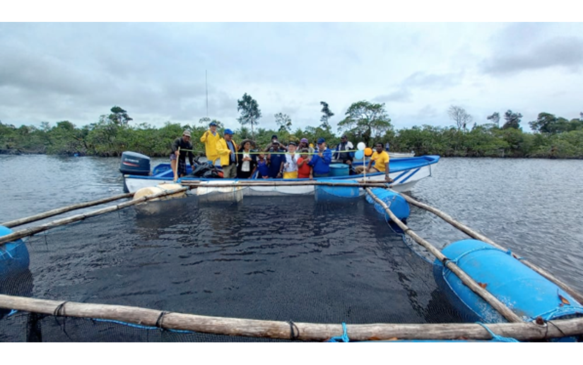 Inpesca inaugura jaulas de cultivo de Róbalo en comunidades de Laguna de Perlas, RACCS