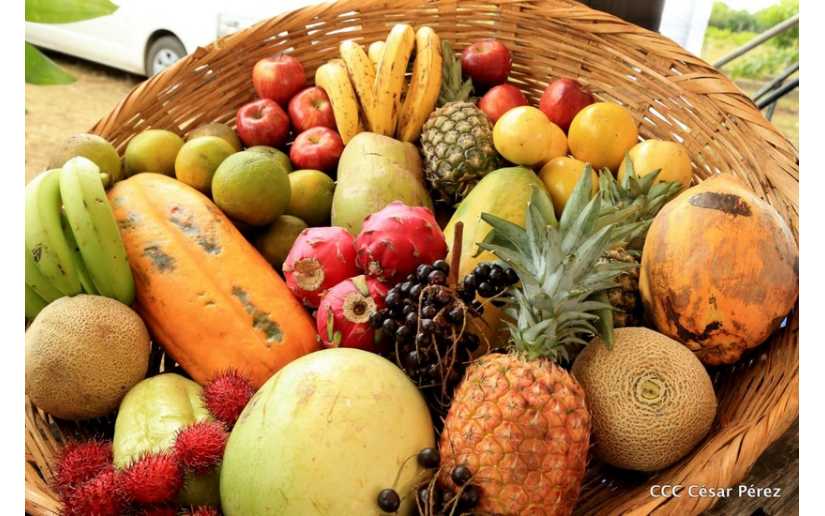 Gobierno de Nicaragua prepara plan para promover la producción de frutas tropicales