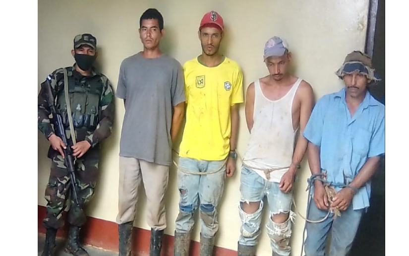 Ejército de Nicaragua realiza ocupación de 152 semovientes