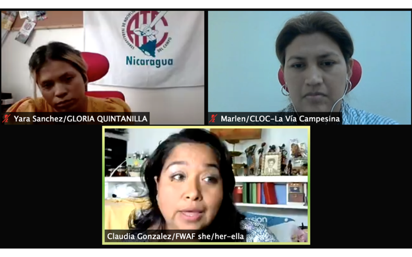 Solidaridad con Nicaragua en Reino Unido sobre equidad de género, seguridad alimentaria y justicia climática