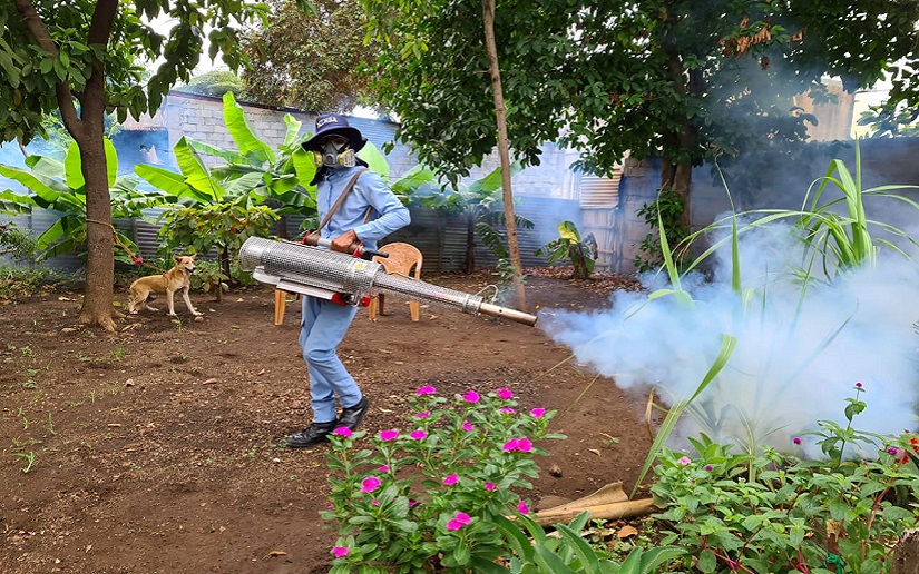 Así se combate el dengue, zika y chikungunya en Nicaragua