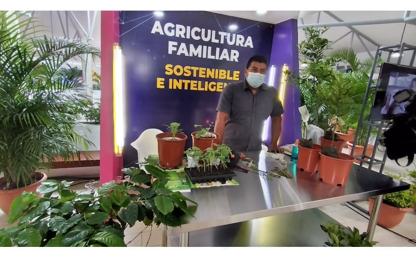 Expopyme 2021: Demuestran tecnología para injertar hortalizas