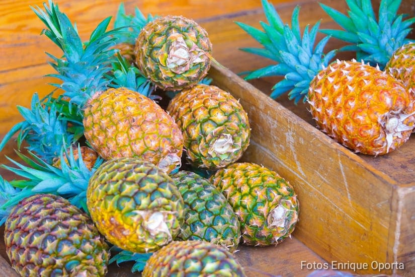 Plan para la promoción y fortalecimiento para la producción de frutas